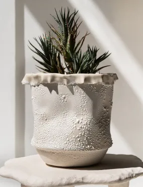 Bag Planter White Lichen