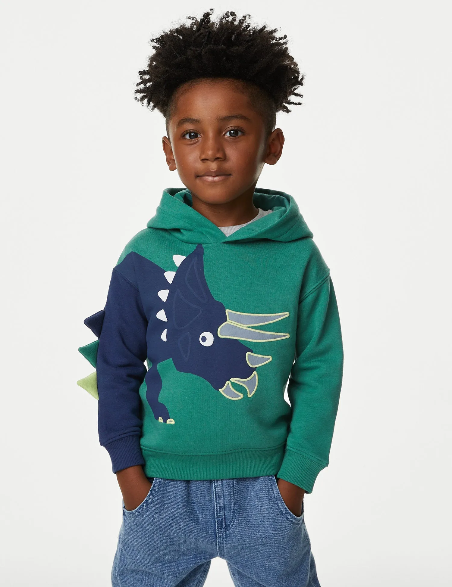 Cotton Rich Dinosaur Hoodie